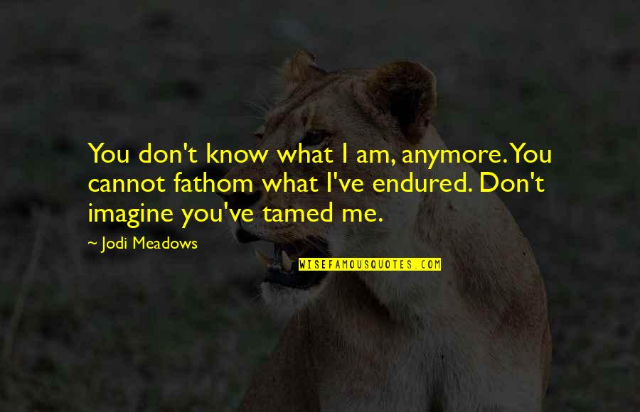 Imagine You & Me Quotes By Jodi Meadows: You don't know what I am, anymore. You