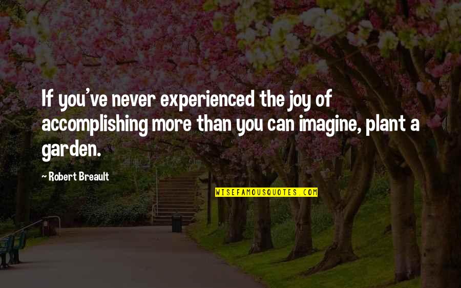 Imagine You Quotes By Robert Breault: If you've never experienced the joy of accomplishing