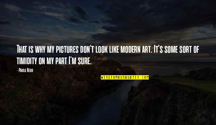 Imagineaza Ti Quotes By Paula Rego: That is why my pictures don't look like