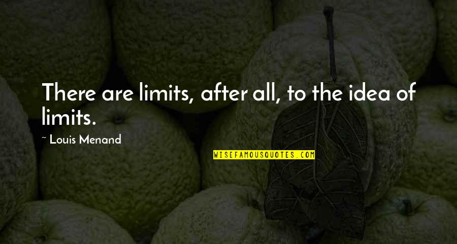 Imaginethats Quotes By Louis Menand: There are limits, after all, to the idea