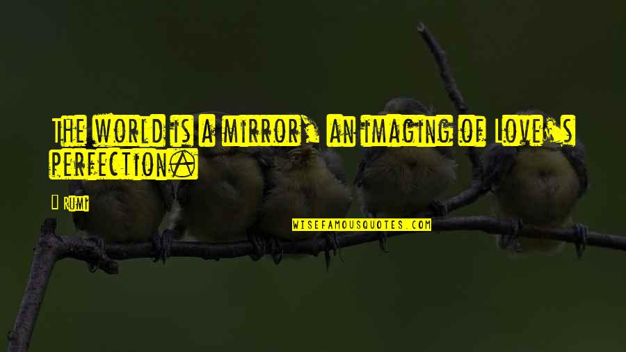 Imaging Quotes By Rumi: The world is a mirror, an imaging of