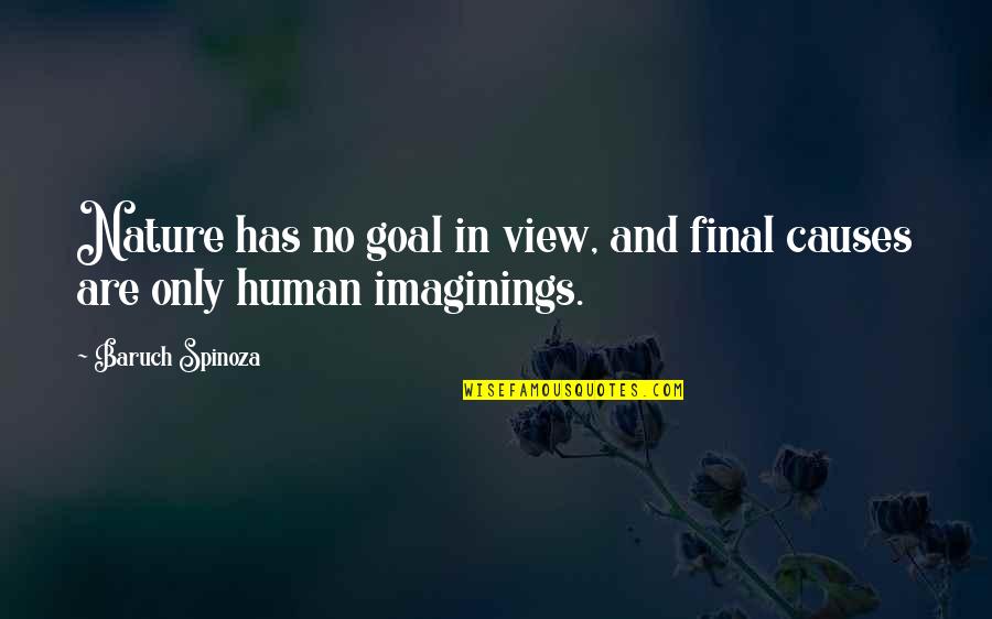 Imaginings Quotes By Baruch Spinoza: Nature has no goal in view, and final