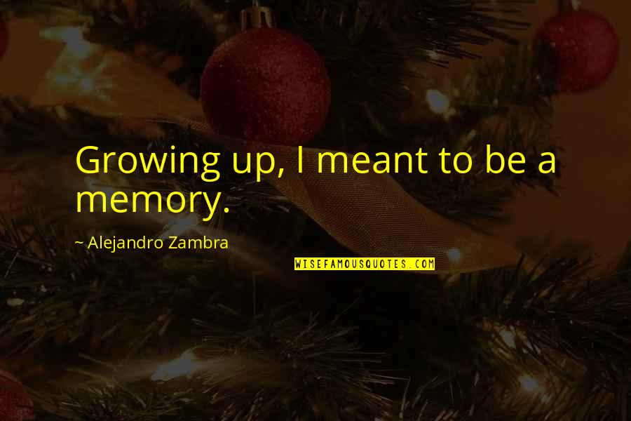 Imagist Poets Quotes By Alejandro Zambra: Growing up, I meant to be a memory.