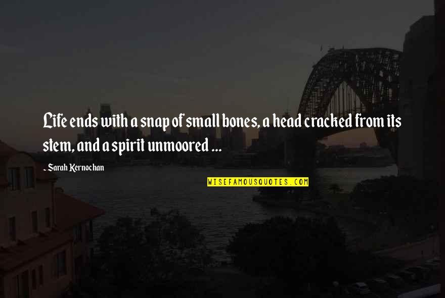 Imagister Quotes By Sarah Kernochan: Life ends with a snap of small bones,