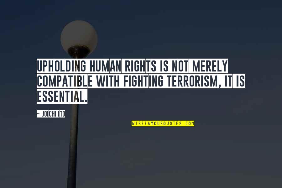 Imam Al Ghazali Love Quotes By Joichi Ito: Upholding human rights is not merely compatible with