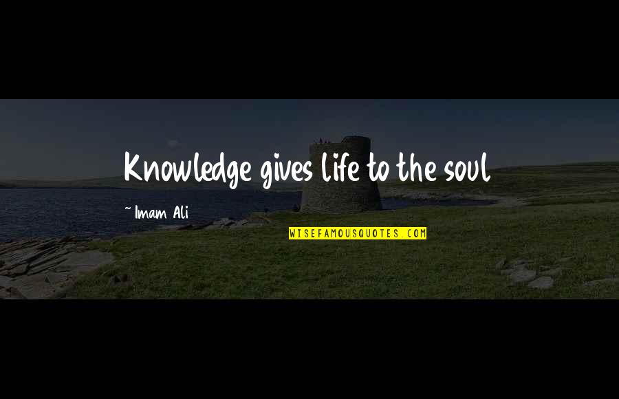 Imam Ali Life Quotes By Imam Ali: Knowledge gives life to the soul