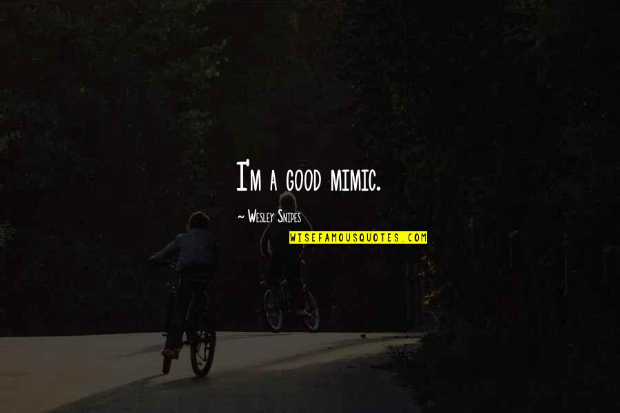 Imam Ali Life Quotes By Wesley Snipes: I'm a good mimic. Imam Ali Life Quotes By Wesley Snipes: I'm a good mimic.