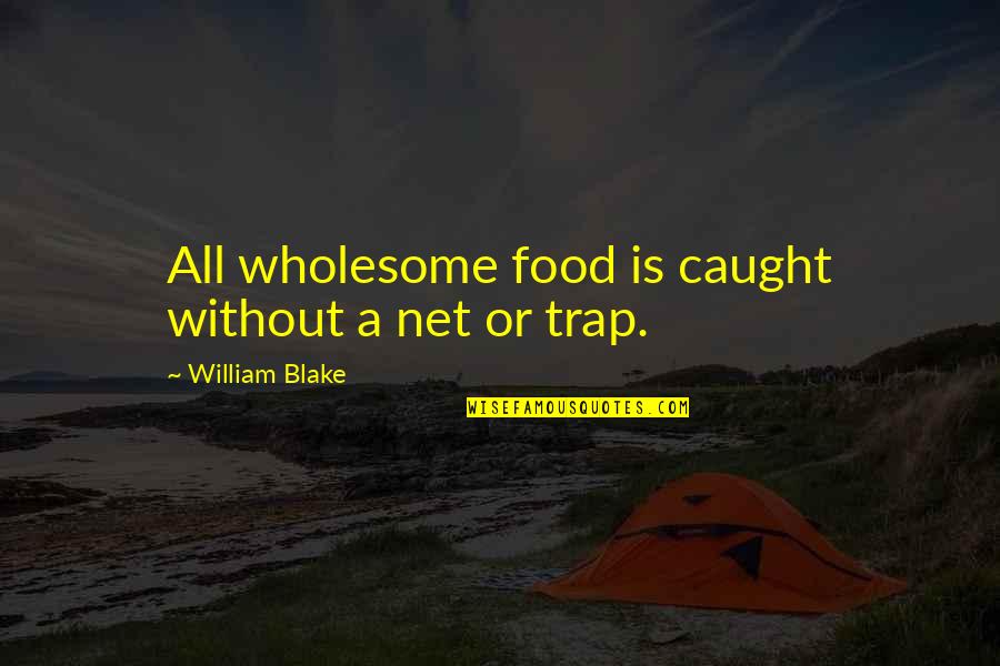 Imam Busiri Quotes By William Blake: All wholesome food is caught without a net