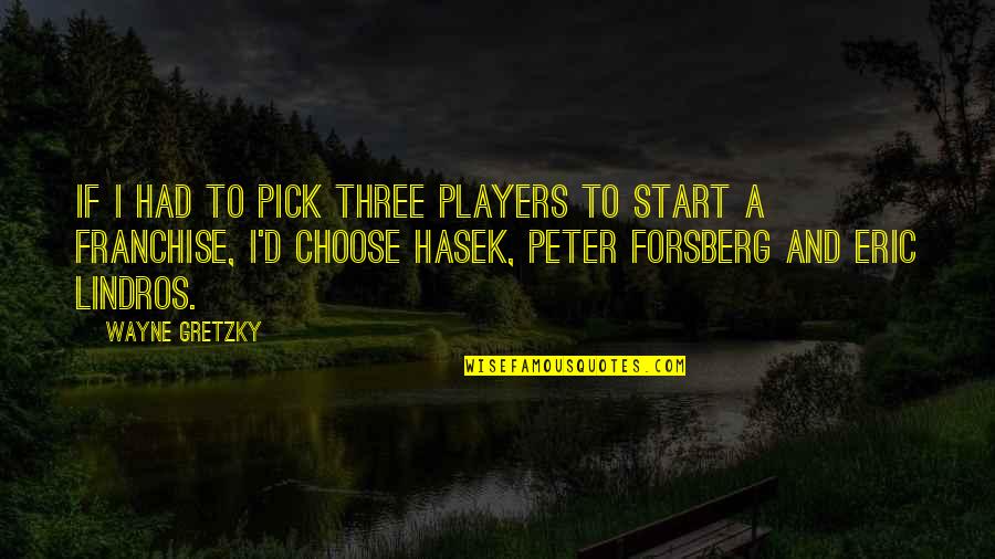 Imam Hassan Mujtaba Quotes By Wayne Gretzky: If I had to pick three players to