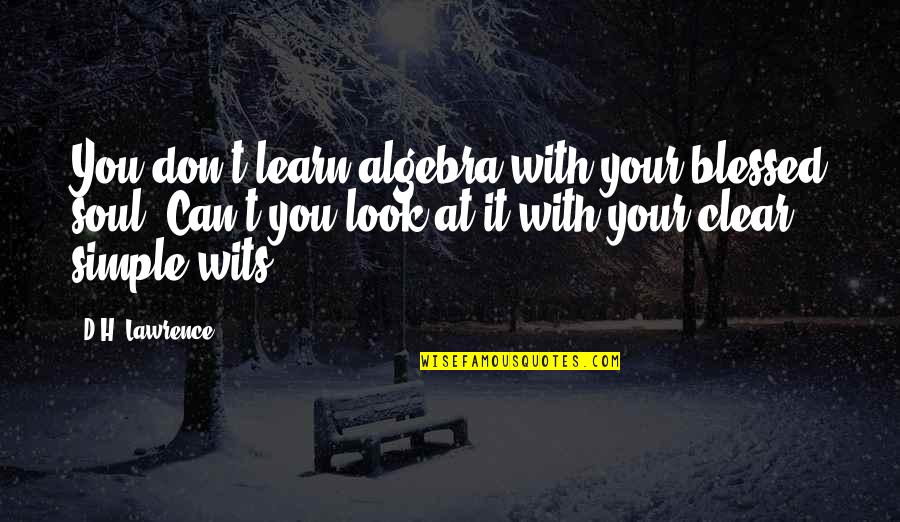 Imam Shamil Quotes By D.H. Lawrence: You don't learn algebra with your blessed soul.