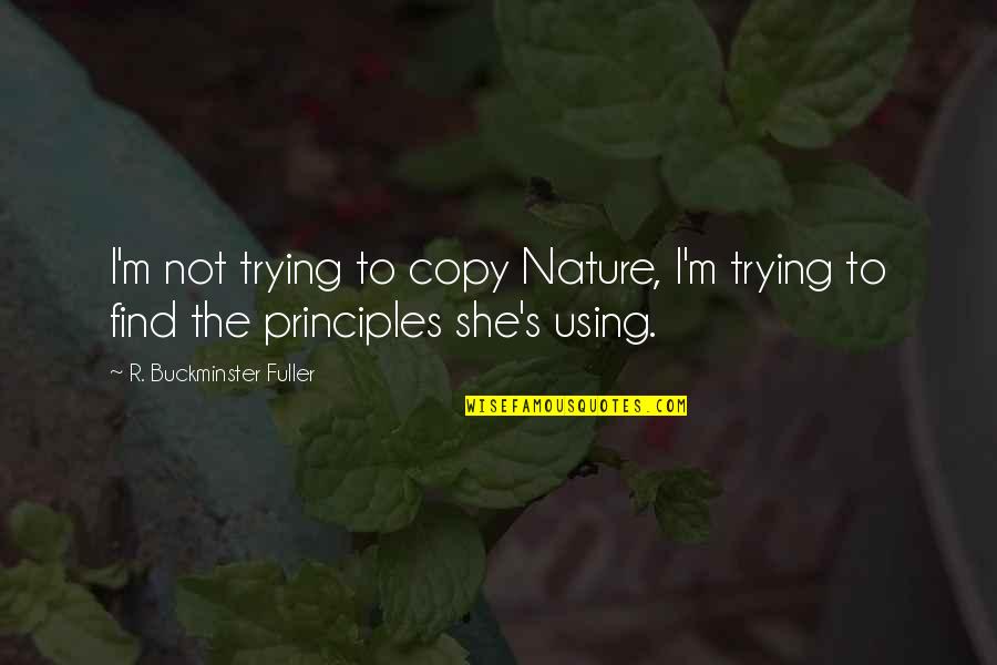 Imanentismo Quotes By R. Buckminster Fuller: I'm not trying to copy Nature, I'm trying