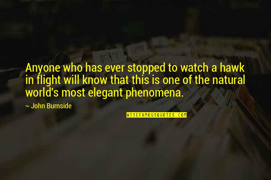 Imbrogno Chiropractic Quotes By John Burnside: Anyone who has ever stopped to watch a Imbrogno Chiropractic Quotes By John Burnside: Anyone who has ever stopped to watch a