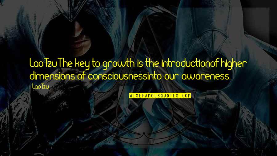 Imbuto Ziribwa Quotes By Lao-Tzu: Lao Tzu The key to growth is the