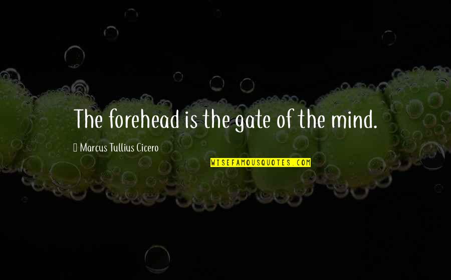 Imee Marcos Quotes By Marcus Tullius Cicero: The forehead is the gate of the mind.