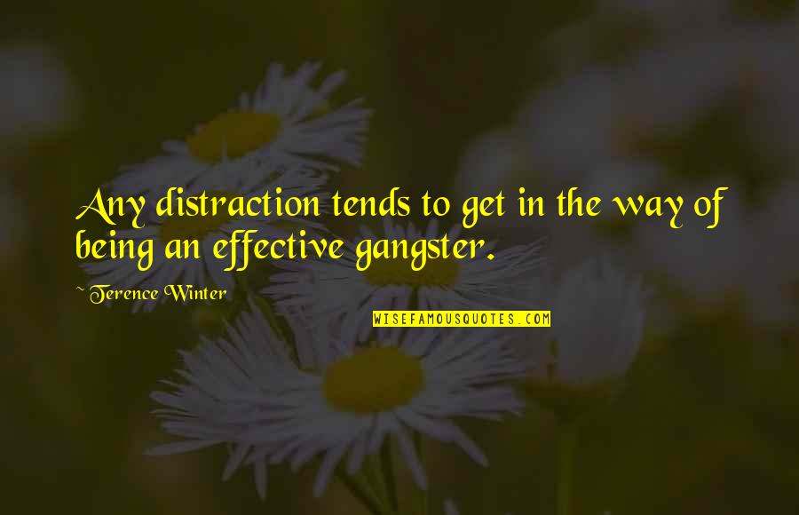 Imitenme Quotes By Terence Winter: Any distraction tends to get in the way