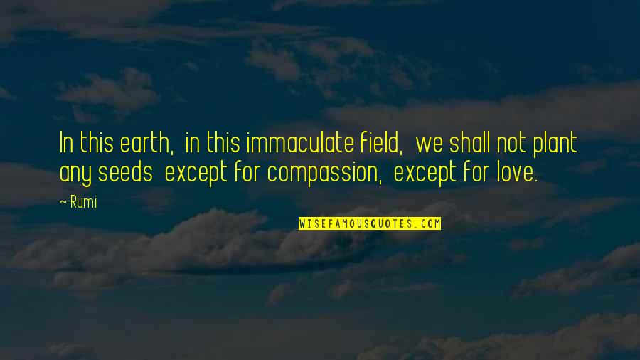 Immaculate Quotes By Rumi: In this earth, in this immaculate field, we
