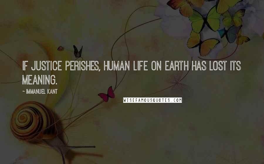Immanuel Kant quotes: If justice perishes, human life on Earth has lost its meaning.