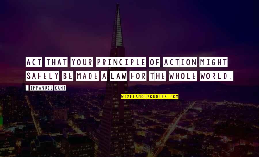 Immanuel Quotes By Immanuel Kant: Act that your principle of action might safely