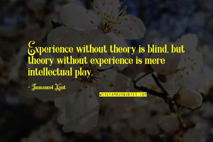 Immanuel's Quotes By Immanuel Kant: Experience without theory is blind, but theory without