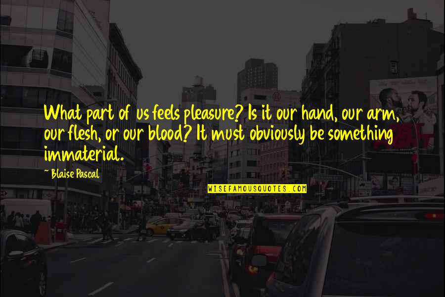 Immaterial Quotes By Blaise Pascal: What part of us feels pleasure? Is it