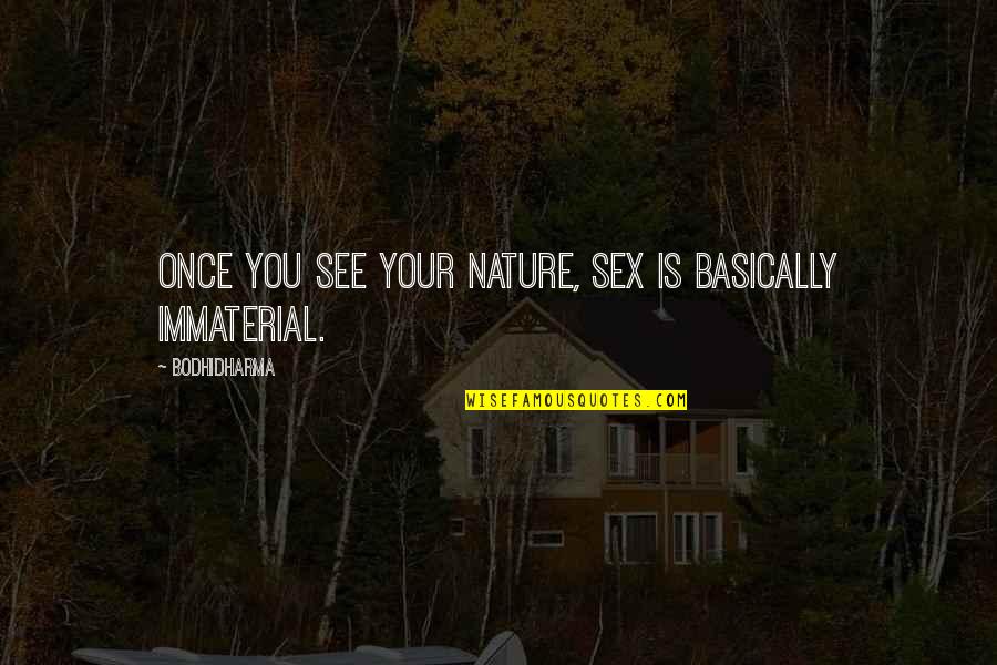 Immaterial Quotes By Bodhidharma: Once you see your nature, sex is basically