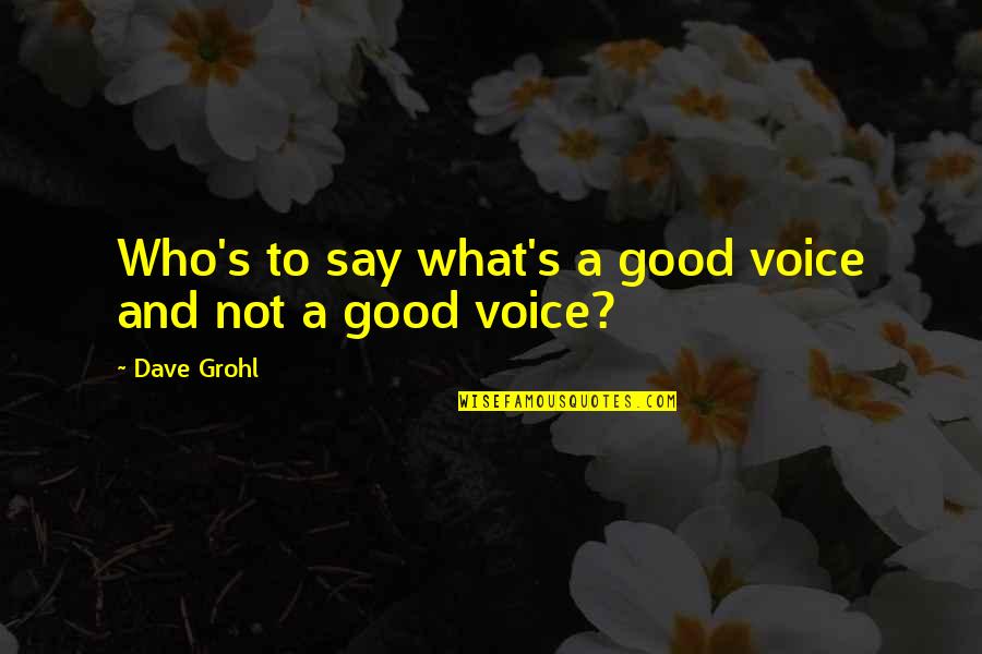 Immaterial Things Quotes By Dave Grohl: Who's to say what's a good voice and