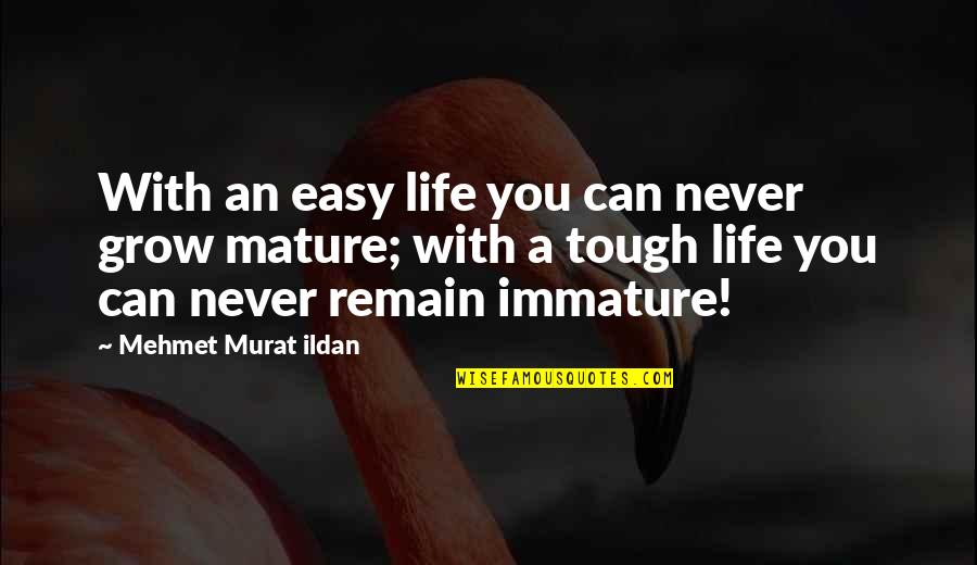 Immature And Mature Quotes By Mehmet Murat Ildan: With an easy life you can never grow