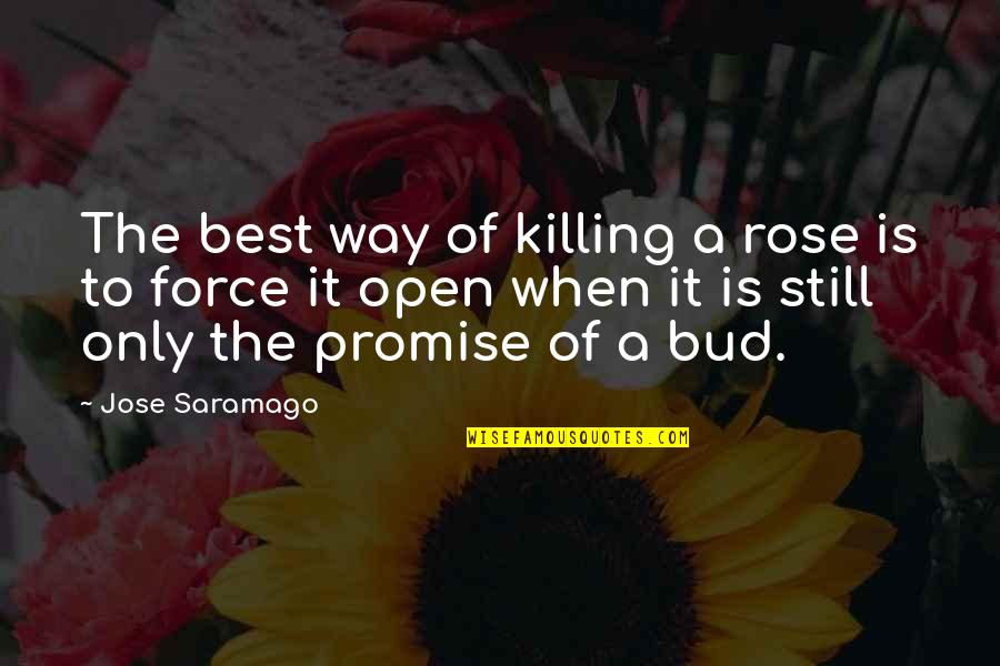 Immature Friends Quotes By Jose Saramago: The best way of killing a rose is