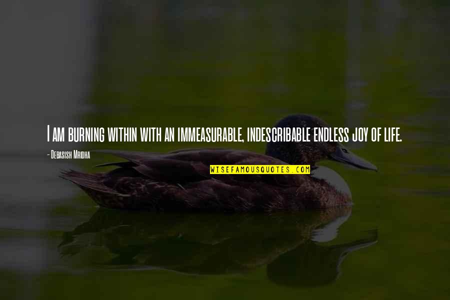 Immeasurable Quotes By Debasish Mridha: I am burning within with an immeasurable, indescribable