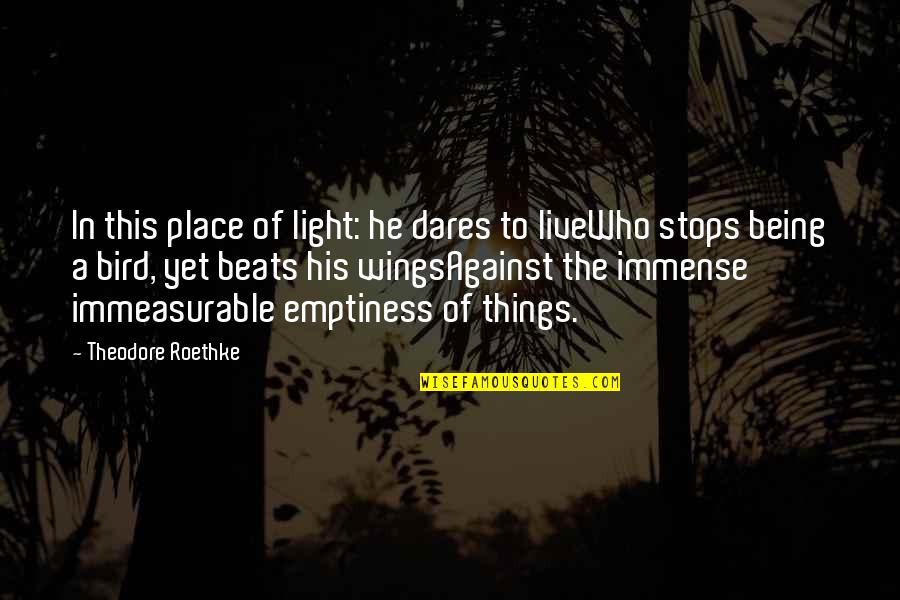 Immeasurable Quotes By Theodore Roethke: In this place of light: he dares to