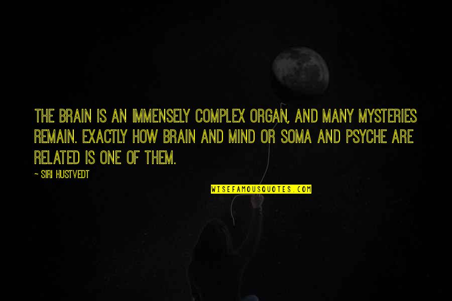 Immensely Quotes By Siri Hustvedt: The brain is an immensely complex organ, and Immensely Quotes By Siri Hustvedt: The brain is an immensely complex organ, and