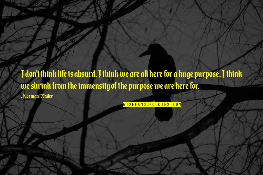 Immensity Quotes By Norman Mailer: I don't think life is absurd. I think