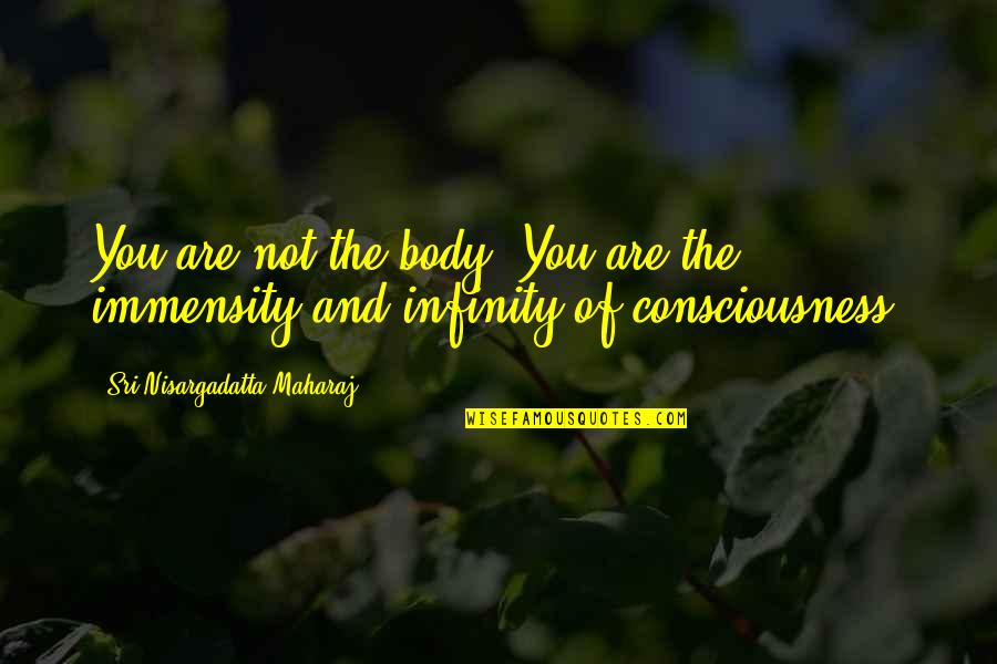 Immensity Quotes By Sri Nisargadatta Maharaj: You are not the body. You are the