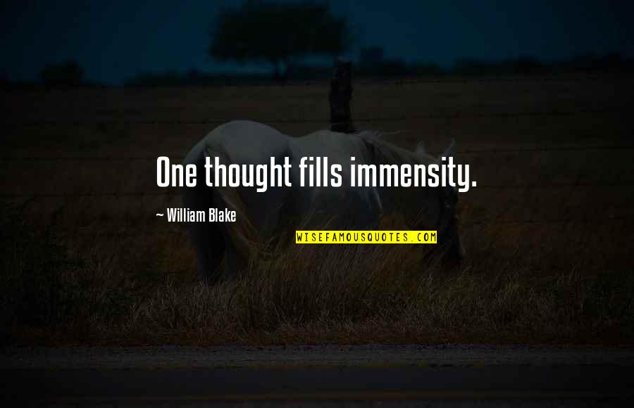 Immensity Quotes By William Blake: One thought fills immensity.