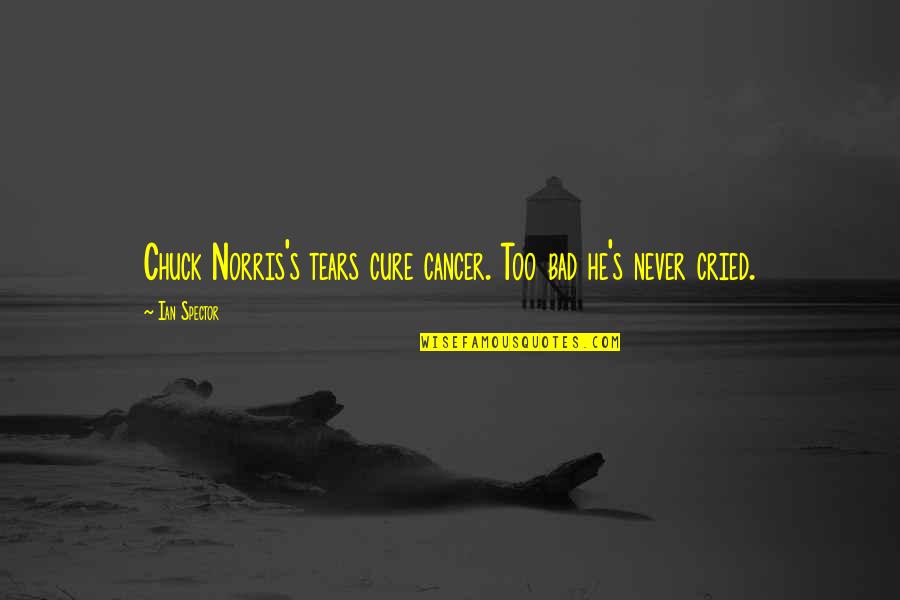 Immenso Definicion Quotes By Ian Spector: Chuck Norris's tears cure cancer. Too bad he's