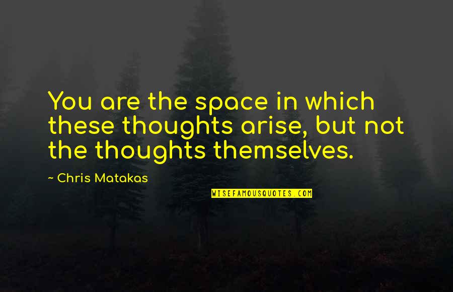 Immersadesk Quotes By Chris Matakas: You are the space in which these thoughts