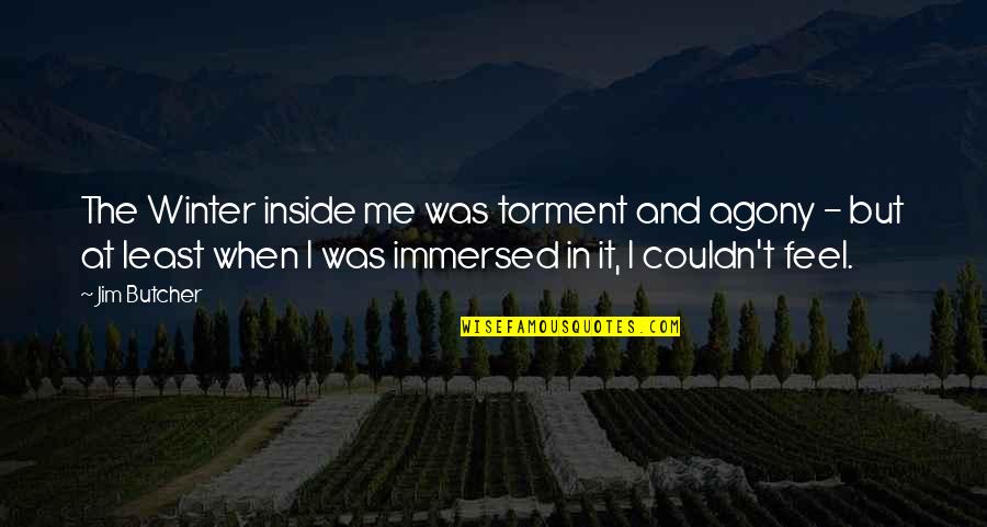 Immersed Quotes By Jim Butcher: The Winter inside me was torment and agony