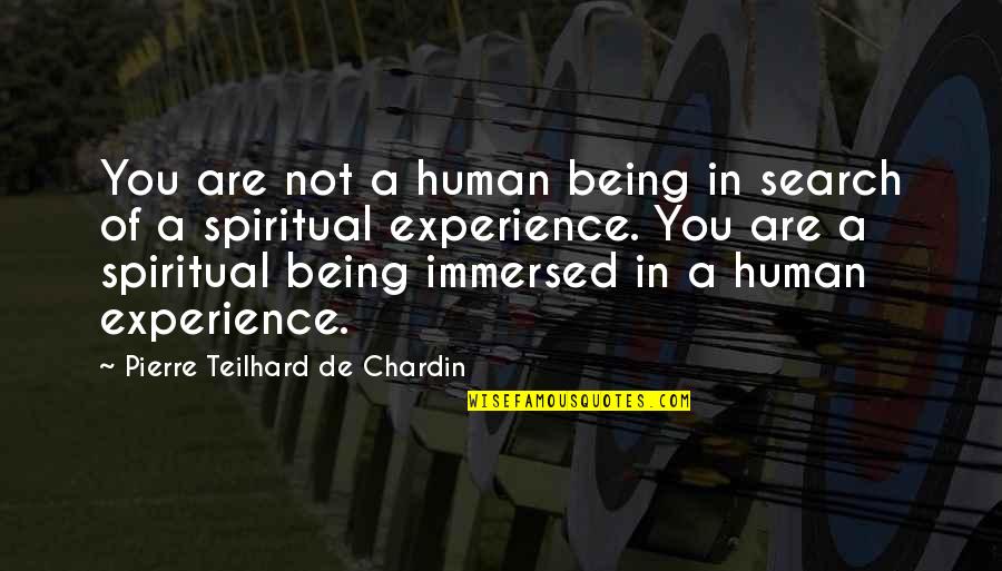 Immersed Quotes By Pierre Teilhard De Chardin: You are not a human being in search