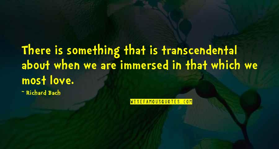 Immersed Quotes By Richard Bach: There is something that is transcendental about when