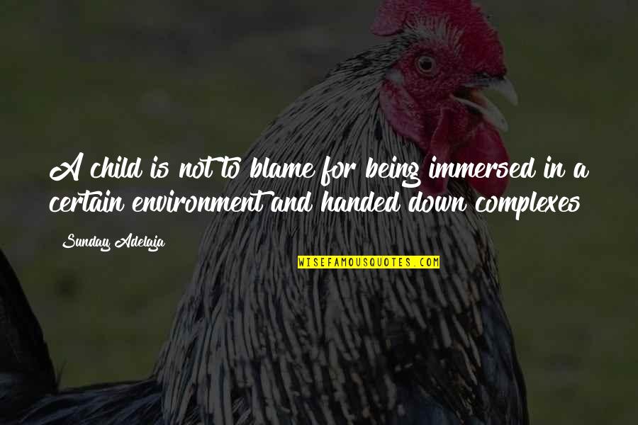 Immersed Quotes By Sunday Adelaja: A child is not to blame for being