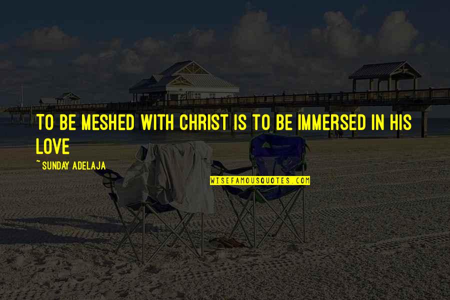 Immersed Quotes By Sunday Adelaja: To be meshed with Christ is to be