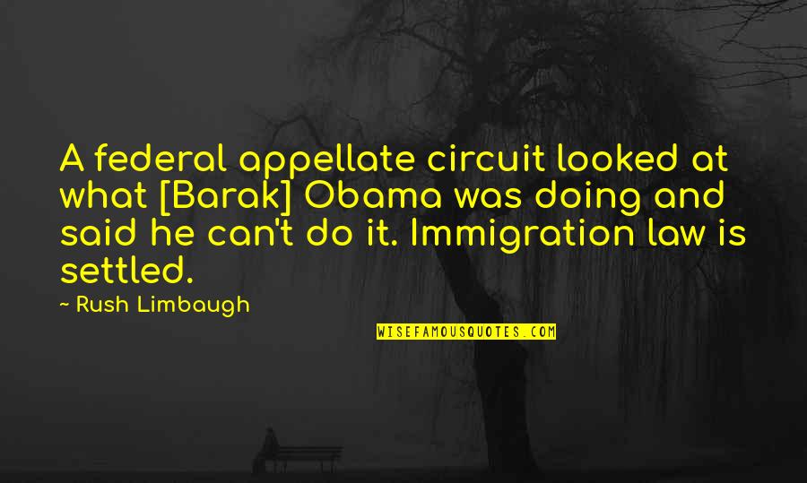 Immigration From Obama Quotes By Rush Limbaugh: A federal appellate circuit looked at what [Barak]