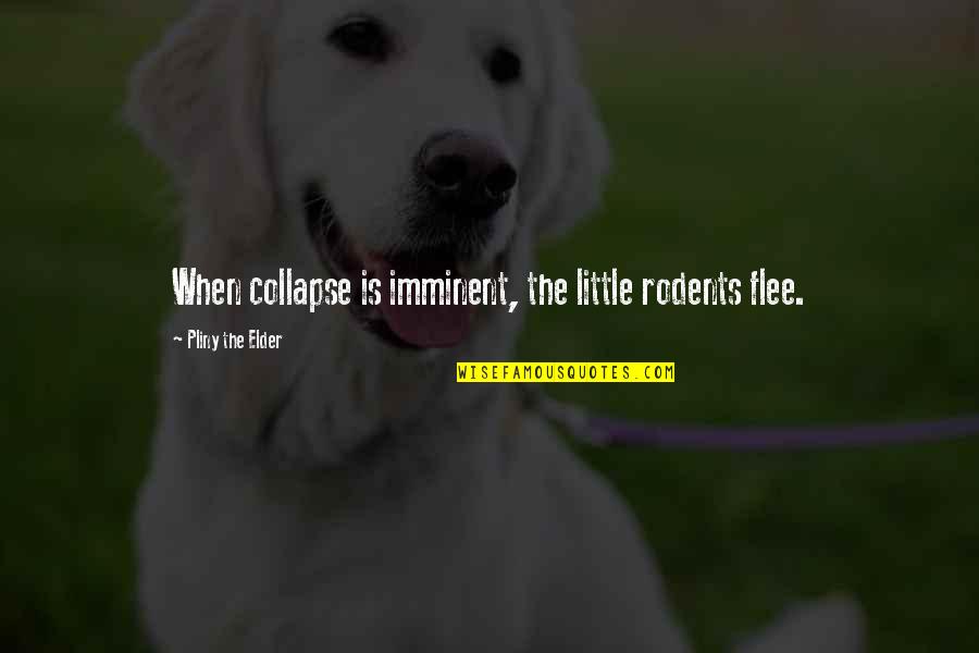 Imminent Quotes By Pliny The Elder: When collapse is imminent, the little rodents flee. Imminent Quotes By Pliny The Elder: When collapse is imminent, the little rodents flee.