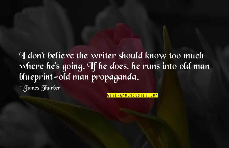 Immoderately Priced Quotes By James Thurber: I don't believe the writer should know too Immoderately Priced Quotes By James Thurber: I don't believe the writer should know too