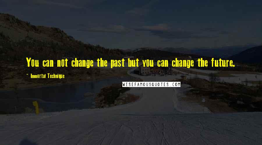 Immortal Technique quotes: You can not change the past but you can change the future.