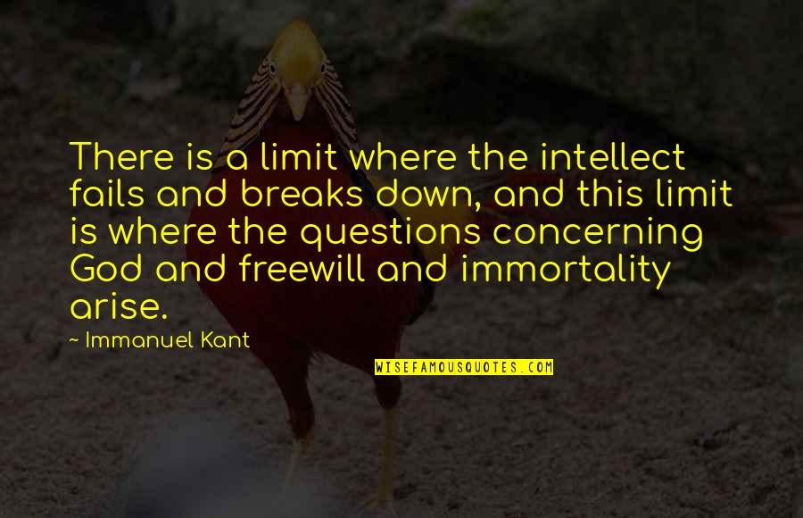 Immortality Quotes By Immanuel Kant: There is a limit where the intellect fails