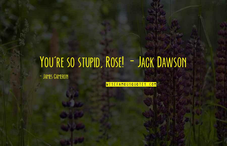 Immortalization Quotes By James Cameron: You're so stupid, Rose! - Jack Dawson