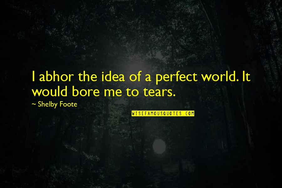 Immortals Fall Quotes By Shelby Foote: I abhor the idea of a perfect world.