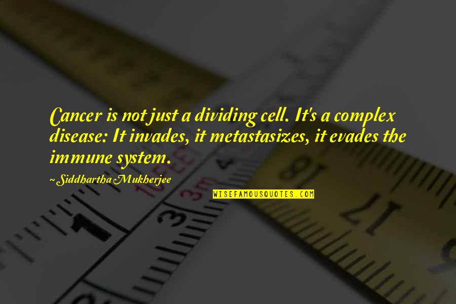 Immune Quotes By Siddhartha Mukherjee: Cancer is not just a dividing cell. It's