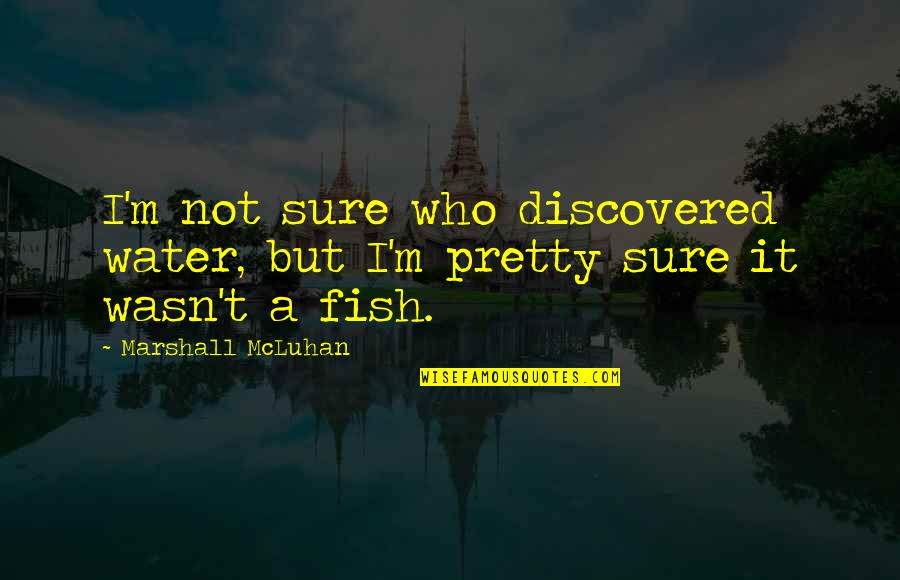 Immunise Quotes By Marshall McLuhan: I'm not sure who discovered water, but I'm Immunise Quotes By Marshall McLuhan: I'm not sure who discovered water, but I'm